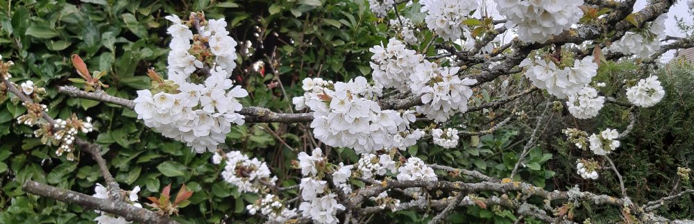 Les énergies d'Hélène